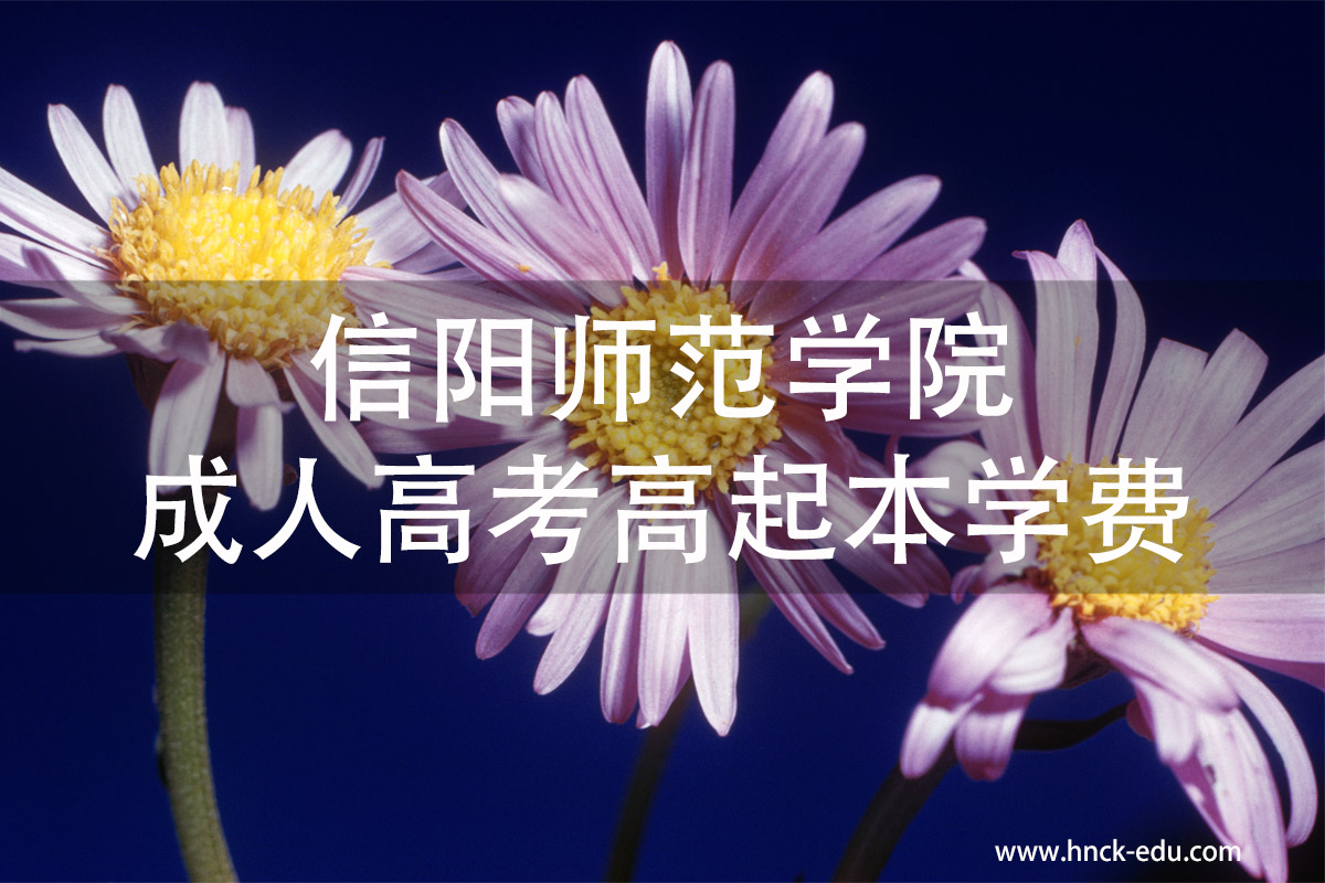 信阳师范类学院成人高考高起本学费