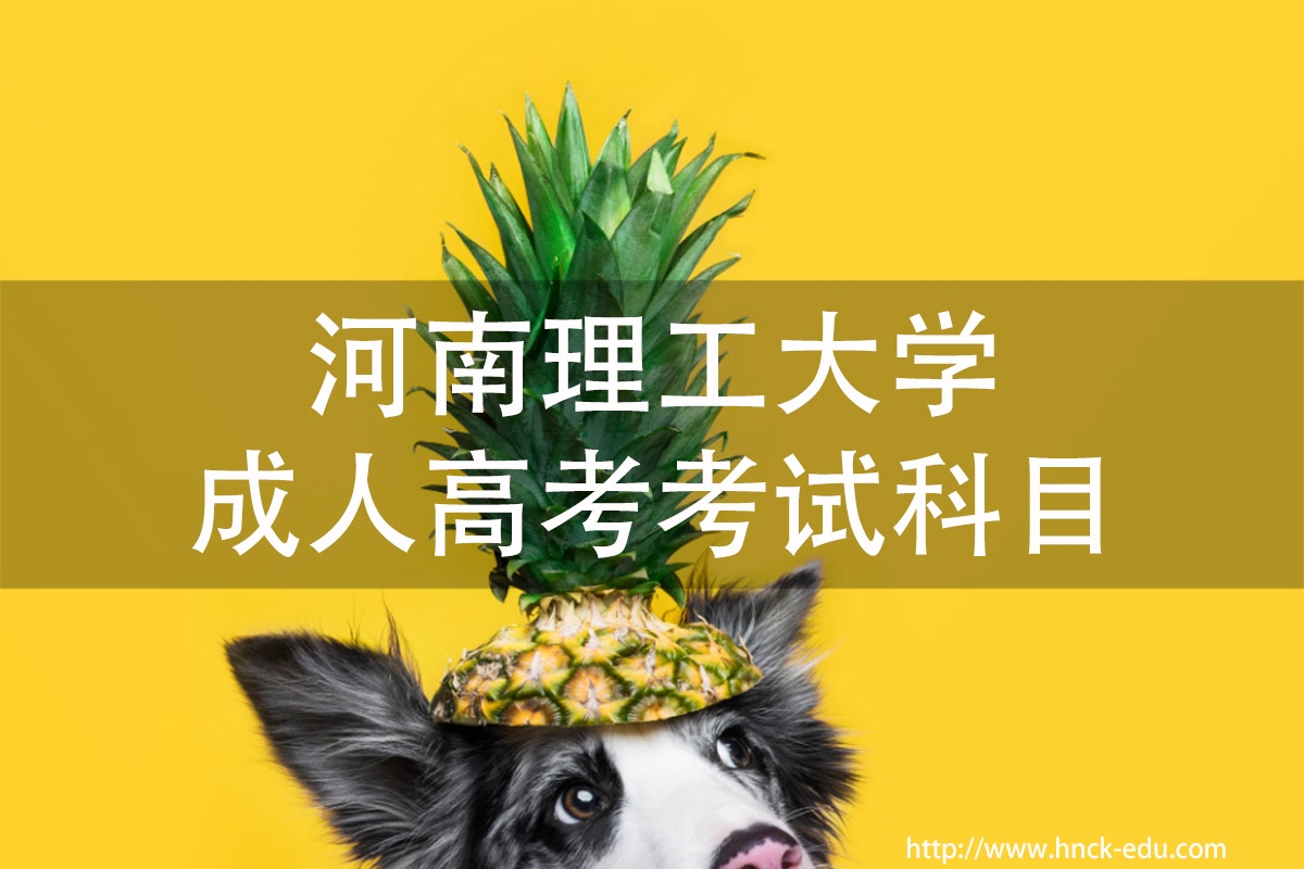 河南理工类大学成人高考考试科目