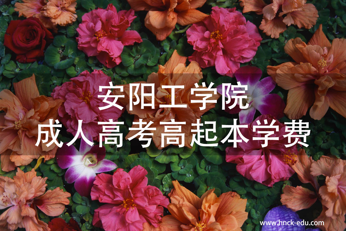 安阳成人类工学院成人高考高起本学费