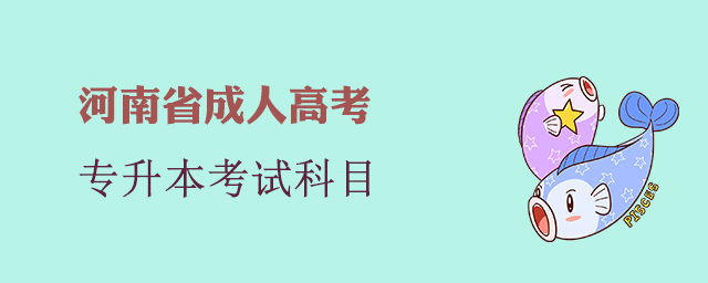 河南省成人高考专升本考试内容